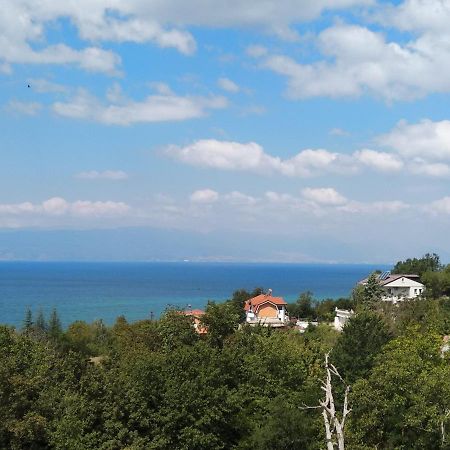 The Brothers Villa Hotel Οχρίδα Εξωτερικό φωτογραφία