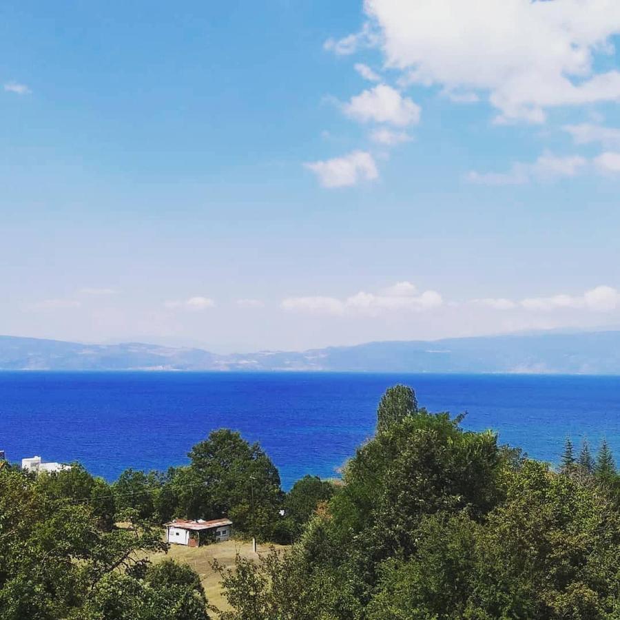 The Brothers Villa Hotel Οχρίδα Εξωτερικό φωτογραφία