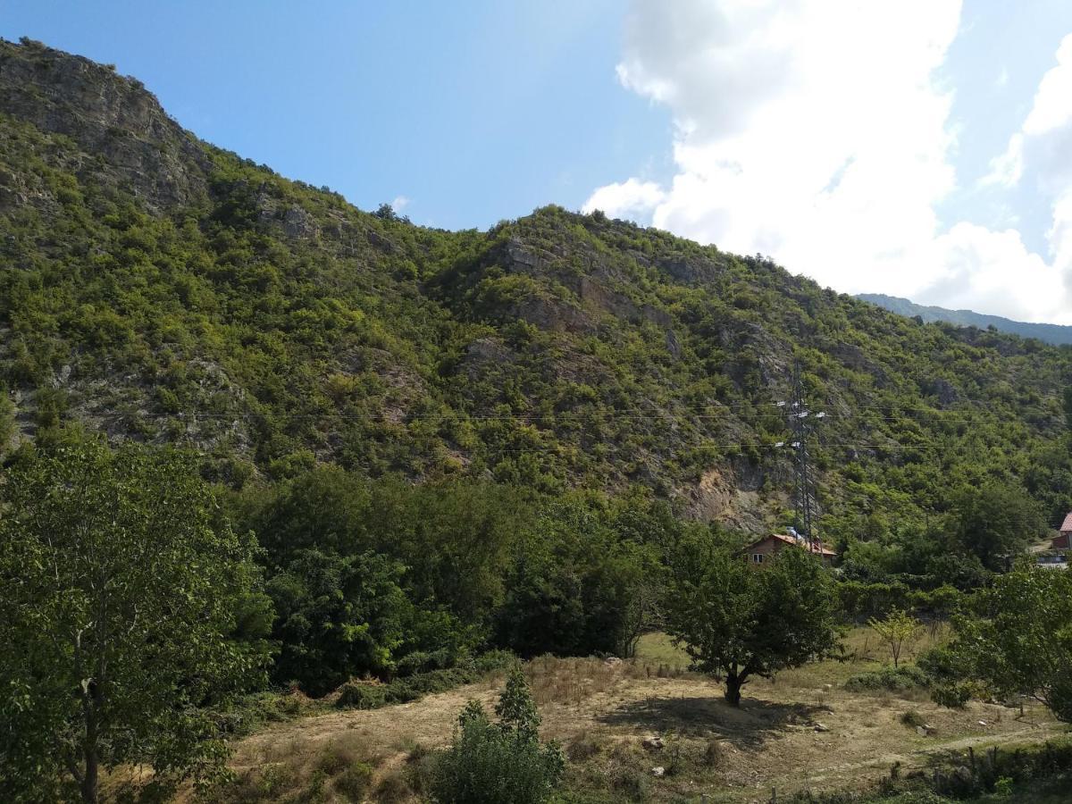 The Brothers Villa Hotel Οχρίδα Εξωτερικό φωτογραφία
