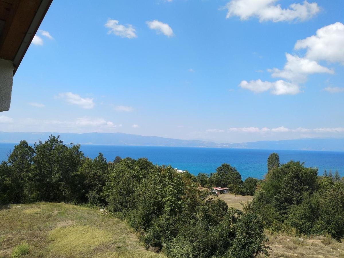 The Brothers Villa Hotel Οχρίδα Εξωτερικό φωτογραφία